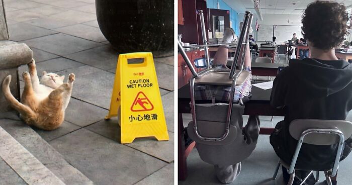 97 Funny Posts That Show Why Cringe Humor Has No Limits