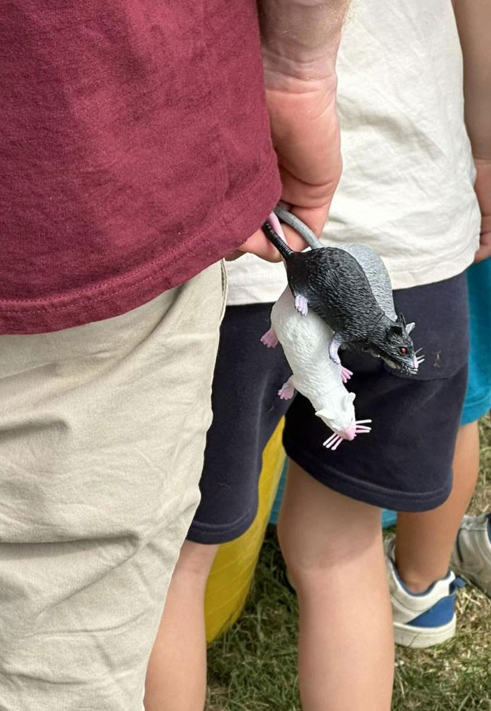 A person holding two plastic toy rats by their tails, one of 65 camera roll photos.
