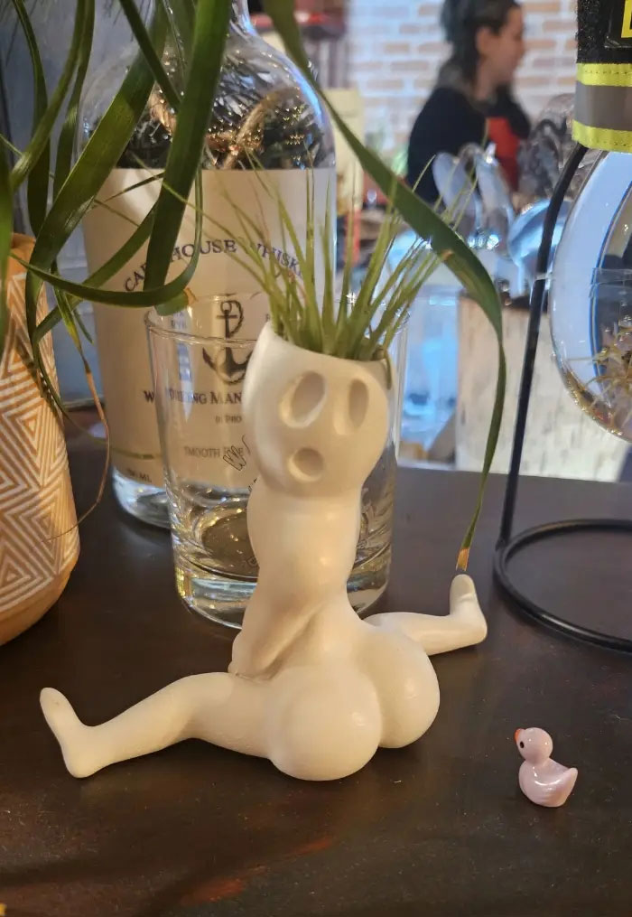A quirky figurine plant pot with a shocked face and prominent features, a camera roll photo that sparks curiosity.