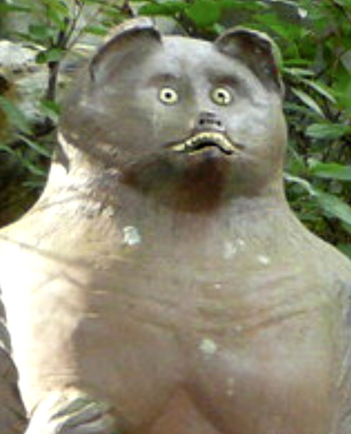 A camera roll photo of a startled bear statue with wide eyes, offering no explanation.