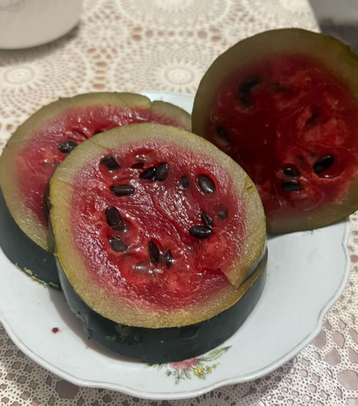Several slices of watermelon on a plate, a delightful camera roll photo that needs no explanation.