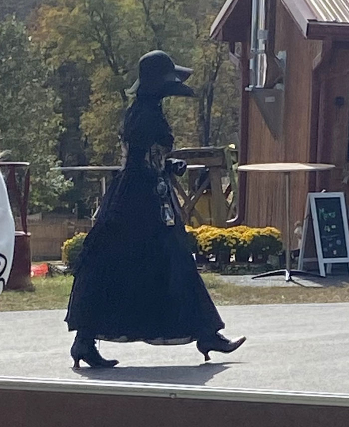 A person in a black plague doctor costume with a long beak mask walks across a stage, a unique camera roll photo.