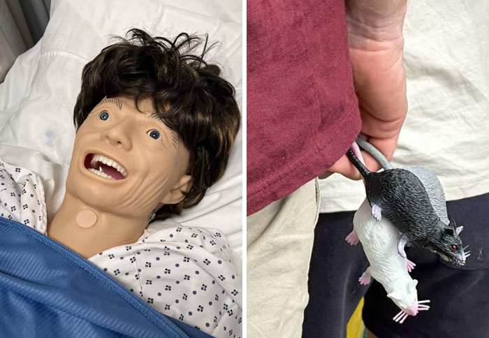 65 Camera Roll Photos That Need Absolutely No Explanation (But We’d Love One Anyway)