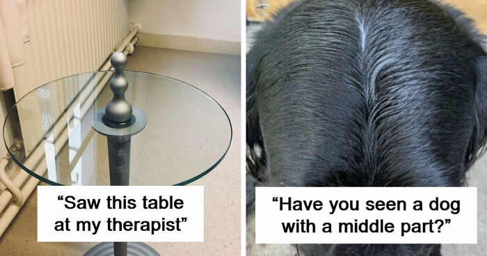 65 Camera Roll Photos That Need Absolutely No Explanation (But We’d Love One Anyway)