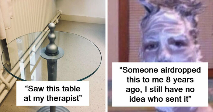 65 Camera Roll Photos That Need Absolutely No Explanation (But We’d Love One Anyway)