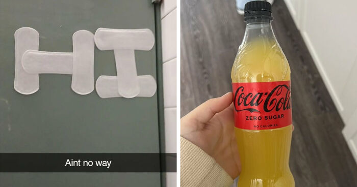 65 Camera Roll Photos That Need Absolutely No Explanation (But We’d Love One Anyway)