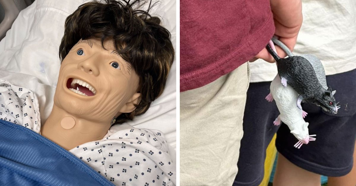 65 Camera Roll Photos That Need Absolutely No Explanation (But We’d Love One Anyway)