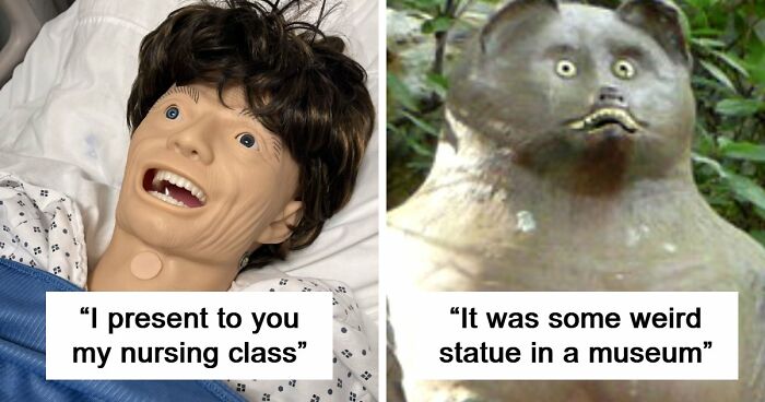 65 Camera Roll Photos That Need Absolutely No Explanation (But We’d Love One Anyway)