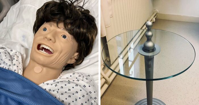65 Camera Roll Photos That Need Absolutely No Explanation (But We’d Love One Anyway)