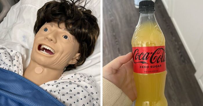 65 Camera Roll Photos That Need Absolutely No Explanation (But We’d Love One Anyway)