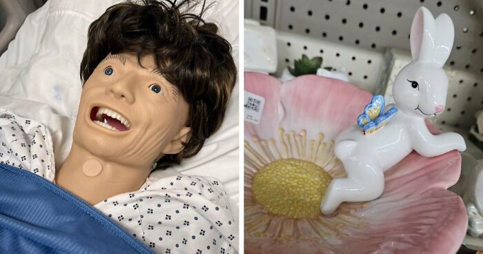 65 Camera Roll Photos That Need Absolutely No Explanation (But We’d Love One Anyway)