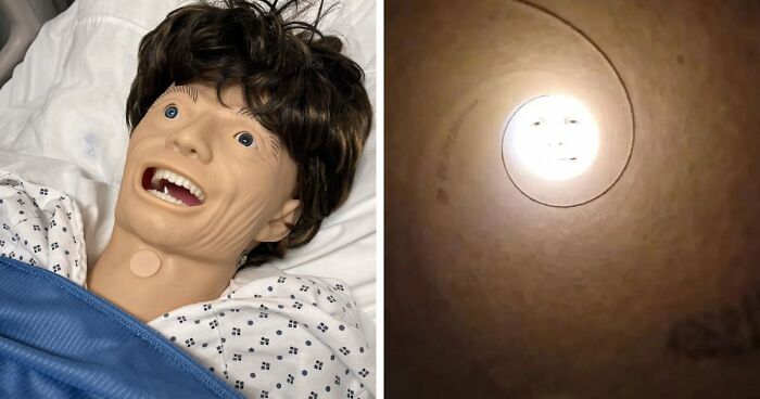 65 Camera Roll Photos That Need Absolutely No Explanation (But We’d Love One Anyway)