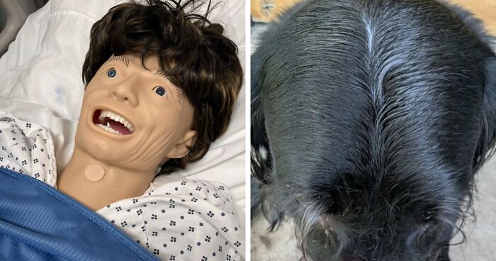 65 Camera Roll Photos That Need Absolutely No Explanation (But We’d Love One Anyway)