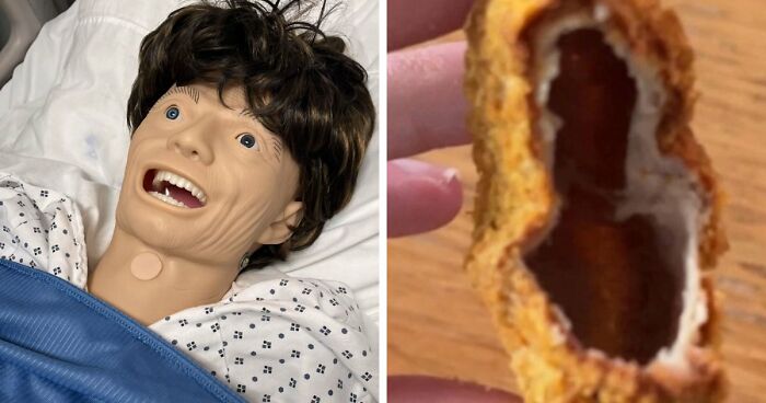 65 Camera Roll Photos That Need Absolutely No Explanation (But We’d Love One Anyway)