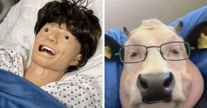 65 Camera Roll Photos That Need Absolutely No Explanation (But We’d Love One Anyway)