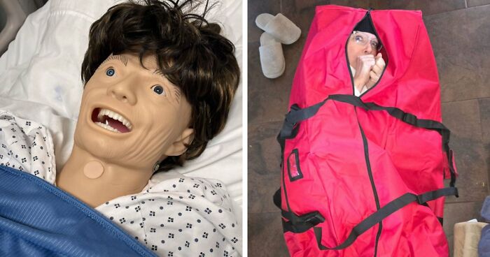 65 Camera Roll Photos That Need Absolutely No Explanation (But We’d Love One Anyway)