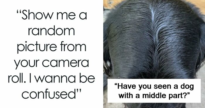 65 Camera Roll Photos That Need Absolutely No Explanation (But We’d Love One Anyway)