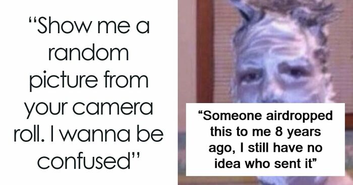 65 Camera Roll Photos That Need Absolutely No Explanation (But We’d Love One Anyway)