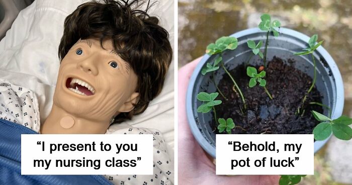65 Camera Roll Photos That Need Absolutely No Explanation (But We’d Love One Anyway)