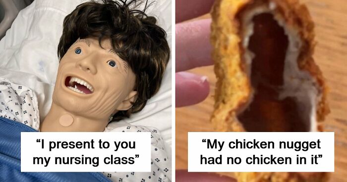 65 Camera Roll Photos That Need Absolutely No Explanation (But We’d Love One Anyway)