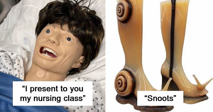65 Camera Roll Photos That Need Absolutely No Explanation (But We’d Love One Anyway)