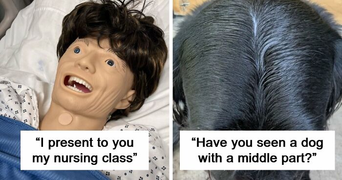 65 Camera Roll Photos That Need Absolutely No Explanation (But We’d Love One Anyway)
