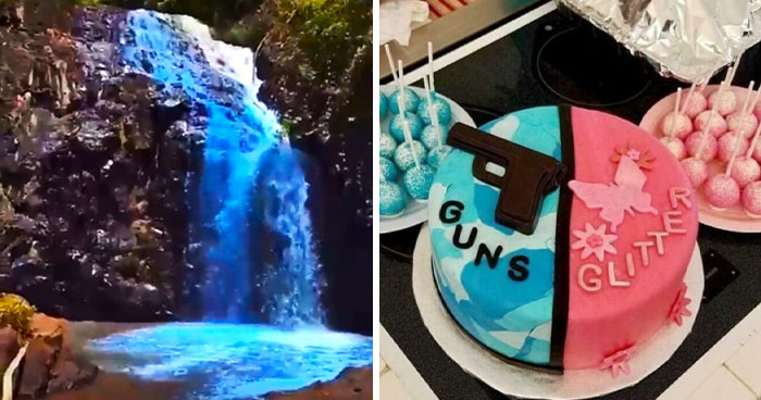 “I Want To Live In A World With No Gender Reveal Parties”: 78 Pics To Prove Gender Reveals Should Be Banned