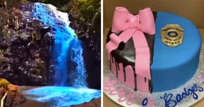 “A New Low For Stupid”: 78 Gender Reveal Moments That Already Have People Judging The Parents