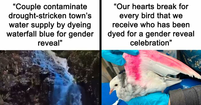 “A New Low For Stupid”: 78 Gender Reveal Moments That Already Have People Judging The Parents