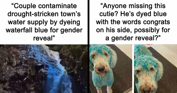 “A New Low For Stupid”: 78 Gender Reveal Moments That Already Have People Judging The Parents