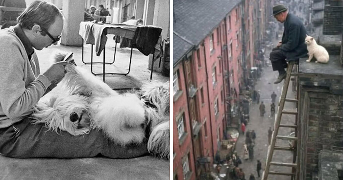 31 Street Photos By PSP Where Animals Became The Most Interesting Part Of The Frame
