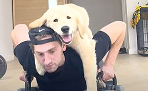 27 Cute And Funny Dog Pics Shared By “The Pet Collective”