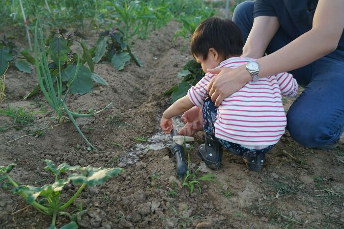 A child and an adult tending to plants in a garden, a peaceful scene contrasting with exciting babysitting stories.