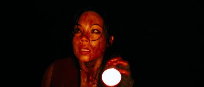 A woman, covered in blood, looks terrified while holding a flashlight in a dark scene from a horror movie.