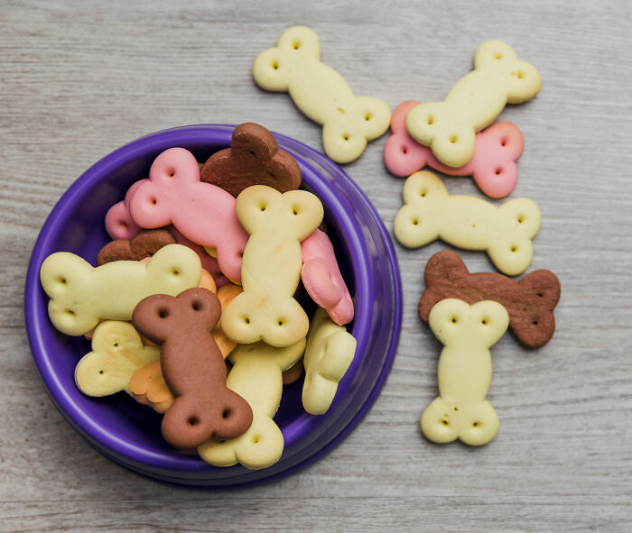 A purple bowl overflowing with bone-shaped dog treats, some scattered around, related to wild stories about guests ignoring house etiquette.