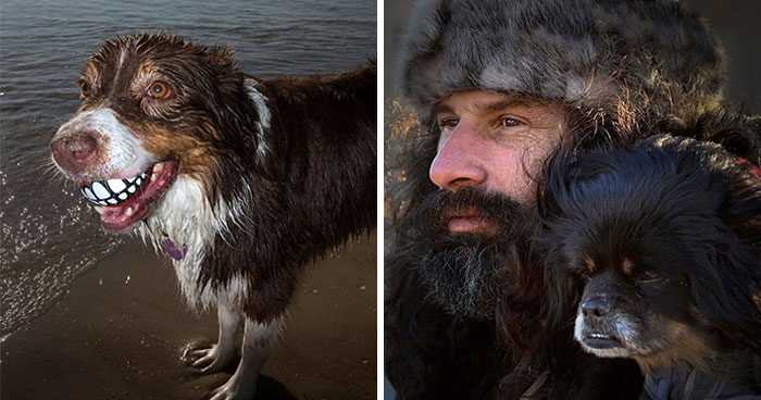 47 Unexpected Dog Moments This Street Photographer Was Lucky Enough To Capture