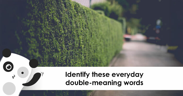 “How Foolproof Is Your Vocabulary?”: Find Out By Identifying These 20 Double-Meaning Words