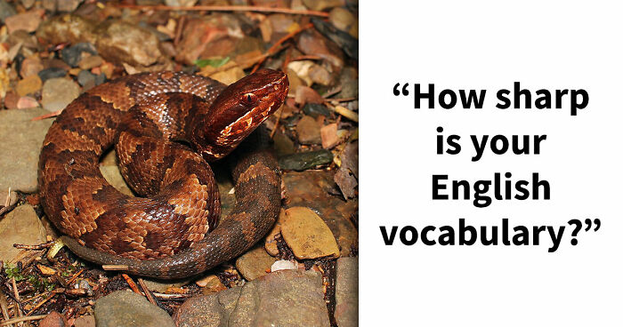 “How Foolproof Is Your Vocabulary?”: Find Out By Identifying These 20 Double-Meaning Words