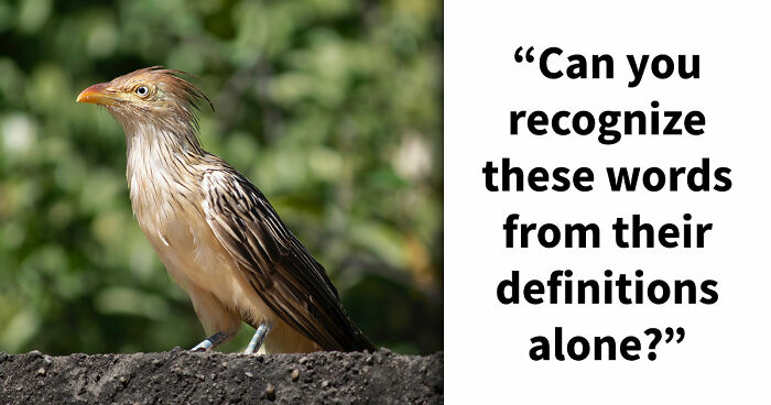 “How Foolproof Is Your Vocabulary?”: Find Out By Identifying These 20 Double-Meaning Words