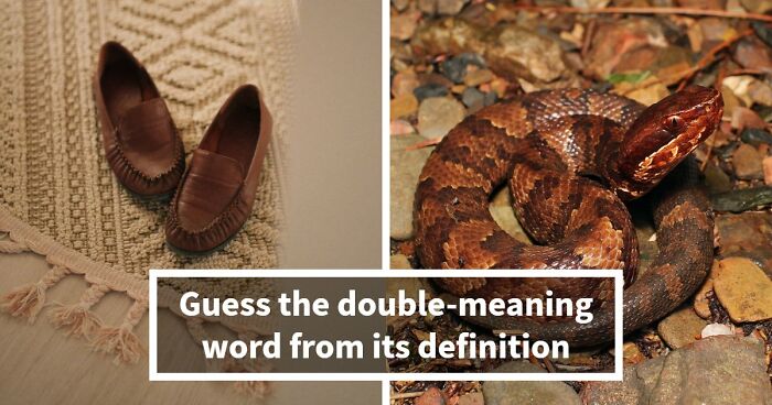 “How Foolproof Is Your Vocabulary?”: Find Out By Identifying These 20 Double-Meaning Words