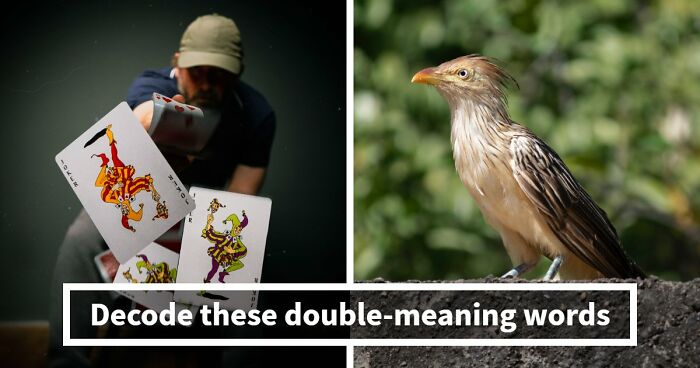 “How Foolproof Is Your Vocabulary?”: Find Out By Identifying These 20 Double-Meaning Words