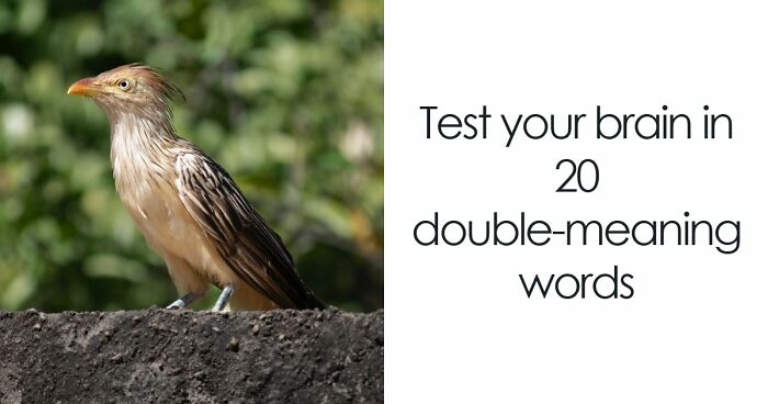 “How Foolproof Is Your Vocabulary?”: Find Out By Identifying These 20 Double-Meaning Words