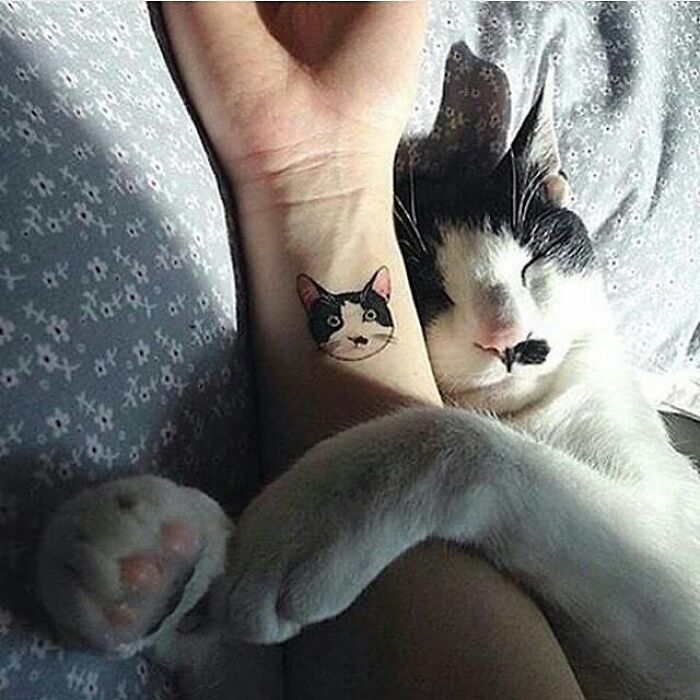 Adorable animal pic of a cat cuddling next to a person with a matching cat tattoo, brightening your day.