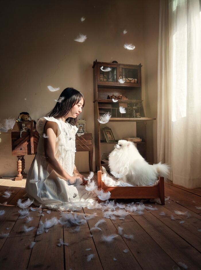 A girl and her fluffy white dog surrounded by feathers, a dreamy scene from the Pet Photography Awards.