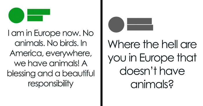 “Are You American?”: 99 Screenshots That Prove People From The US Are Very Confused