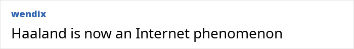 Erling Haaland internet phenomenon: a meme about him on a white background