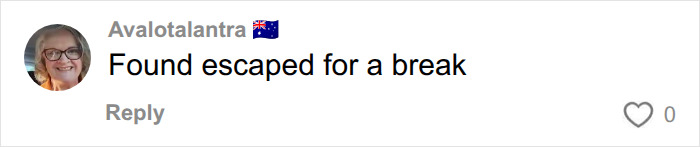 A comment about an elderly couple escaping care home for a break, expressing understanding for their need for freedom. A comment about an elderly couple escaping care home for a break, expressing understanding for their need for freedom.