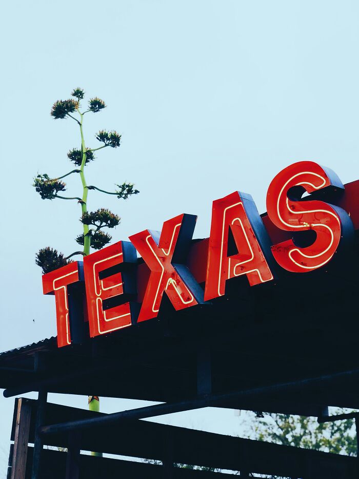 A neon sign spelling out TEXAS, symbolizing a place where one might encounter mansplaining examples.