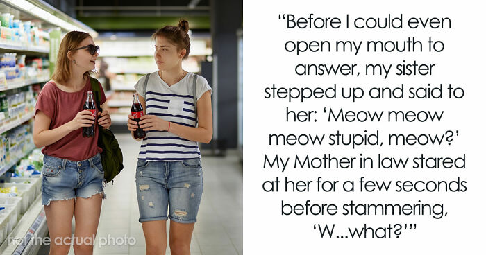 MIL Tries To Humiliate DIL In Public, Sister’s Absurd “Meow” Comeback Ends The Confrontation