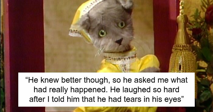 MIL Tries To Humiliate DIL In Public, Sister’s Absurd “Meow” Comeback Ends The Confrontation